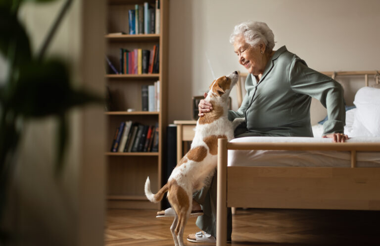 Hund med ældre dame